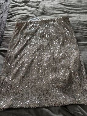 Cable & Gauge Silver Sequin Pencil Skirt